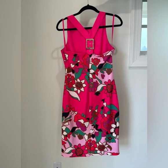 Ted Baker Dress - Picture 4 of 4